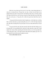 Phòng ngừa và hạn chế rủi ro trong quá trình chuẩn bị hàng gốm sứ xuất khẩu sang thị trường Nga của trung tâm XNK phía Bắc - trực thuộc Tổng Công Ty T