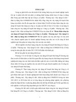 Hoàn thiện công tác xây dựng kế hoạch bán hàng của Công ty cổ phần –Thương mại –Xây dựng-Cơ khí –điện tự động hóa COMEECO