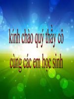 bài 31 Mắt  bài giảng điện tử