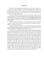 Giải pháp phát triển thương mại sản phẩm xúc xích của công ty CPTP Đức Việt trên thị trường miền Bắc