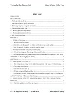-đề xuất giải pháp hoàn thiện kế toán bán nhóm hàng thức ăn chăn nuôi tại Công ty cổ phần chăn nuôi C.P. Việt Nam – Chi nhánh Hải Dương.