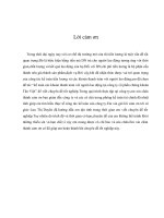 Kế toán các khoản thanh toán với người lao động tại công ty cổ phần chứng khoán Tân Việt