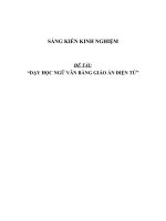 SKKN Dạy học Ngữ văn bằng giáo án điện tử