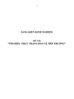 SKKN Tìm hiểu thực trạng bảo vệ môi trường