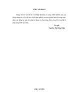 Khoá luận tốt nghiệp Văn học Kiểu nhân vật cực hạn trong truyện ngắn của Raymond Carver