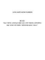 SKKN Dạy Tiếng Anh đạt hiệu quả tốt trong lớp đông học sinh với nhiều trình độ khác nhau