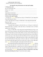 Kế hoạch kinh doanh của Công ty Cổ Phần Đầu Tư Xây Dựng Kinh Doanh Bất Động Sản Tổng 6