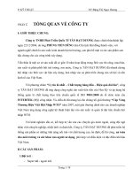 báo cáo thực tập tại công ty TNHH Phát Triển Quốc Tế TÂN ĐẠT DƯƠNG