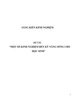SKKN Một số kinh nghiệm rèn kỹ năng sống cho học sinh THCS