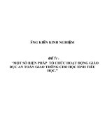 SKKN Một số biện pháp tổ chức hoạt động giáo dục an toàn giao thông cho học sinh tiểu học