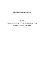 SKKN Mệnh đề quan hệ và các dạng bài tập trắc nghiệm - Tiếng Anh THPT