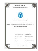 LẬP KẾ HOẠCH THÀNH LẬP DOANH NGHIỆP TƯ NHÂN GẠO VIỆT (chuyên kinh doanh gạo thành phẩm)