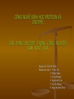 ứng dụng enzyme trong công nghiệp sản xuất sữa