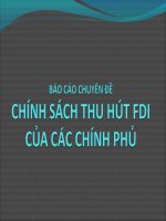 sline bao cao phân tích chính sách