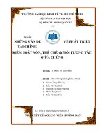 NHỮNG VẤN ĐỀ VỀ PHÁT TRIỂN TÀI CHÍNH, KIỂM SOÁT VỐN, THỂ CHẾ và MỐI TƯƠNG TÁC GIỮA CHÚNG