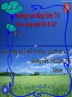 đề tài khả năng xử lý môi trường của thực vật
