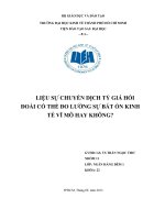 LIỆU SỰ CHUYỂN DỊCH TỶ GIÁ HỐI ĐOÁI CÓ THỂ ĐO LƯỜNG SỰ BẤT ỔN KINH TẾ VĨ MÔ HAY KHÔNG