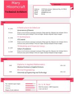 Mẫu CV xin việc bằng Doc - 142-What-a-Doll