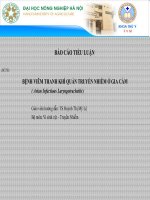 BỆNH VIÊM THANH KHÍ QUẢN TRUYỀN NHIỄM Ở GIA CẦM