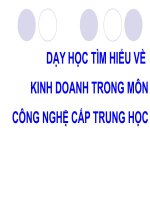 DẠY HỌC TÌM HIỂU VỀ  KINH DOANH TRONG MÔN CÔNG NGHỆ CẤP TRUNG HỌC