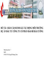 Báo cáo đánh giá tác động môi trường Dự án đầu tư Công ty cổ phần bao bì Hải Cường