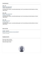 Mẫu CV xin việt bằng word  245 expressive