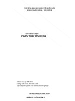 BÀI THẢO LUẬN PHÂN TÍCH TÍN DỤNG