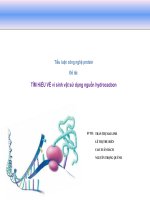 TÌM HIỂU VỀ VI SINH VẬT SỬ DỤNG NGUỒN HYDROCACBON