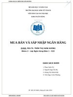 tiểu luận phân tích tình hình MUA BÁN VÀ SÁP NHẬP NGÂN HÀNG