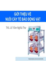 GiỚI THIỆU VỀ NUÔI CẤY TẾ BÀO ĐỘNG VẬT
