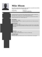 Mẫu CV xin việc bằng Doc - 107-Concrete