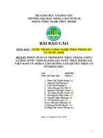 PHÂN TÍCH VÀ TRÌNH BÀY THỰC TRẠNG CHẤT LƯỢNG NƯỚC THẢI NGÀNH SẢN XUẤT THỰC PHẨM TẠI VIỆT NAM VÀ THẢO LUẬN HƯỚNG GIẢI QUYẾT TRÊN CƠ SỞ KHOA HỌC