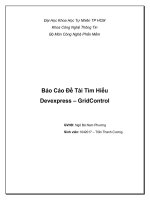 Báo Cáo Đề Tài Tìm Hiểu Devexpress – GridControl
