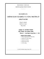 BÀI NGHIÊN CỨU CHÍNH SÁCH TÀI KHÓA VÀ TĂNG TRƯỞNG Ở Ả RẬP SAUDI