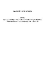 SKKN Quản lý về biện pháp chỉ đạo và bồi dưỡng đội ngũ cán bộ giáo viên trường tiểu học Cát Linh