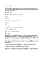 quy trình sản xuất dầu thực vật