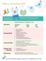 Mẫu CV xin việc bằng Doc - 42-Fun-Mum