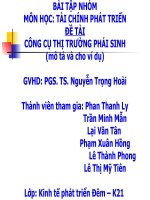 BÀI TẬP NHÓM MÔN HỌC TÀI CHÍNH PHÁT TRIỂN ĐỀ TÀI CÔNG CỤ THỊ TRƯỜNG PHÁI SINH