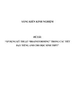 SKKN Áp dụng kỹ thuật brainstorming trong các tiết dạy Tiếng Anh cho học sinh THPT