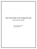 PHÂN TÍCH CHIẾN LƯỢC MARKETING MIX Siêu thị OCEAN MART