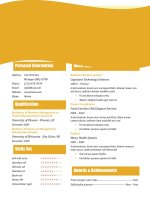 Mẫu CV xin việc bằng Doc - 139-Orange-Blossom