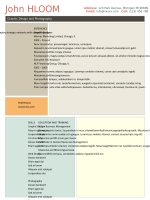 Mẫu CV xin việc bằng Doc - 36-Grid
