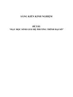 SKKN Dạy học sinh giải hệ phương trình đại số