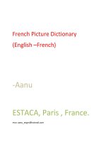 French Picture Dictionary English French
