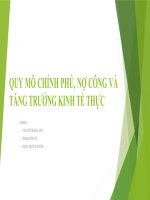Tiểu luận môn Tài chính công QUY MÔ CHÍNH PHỦ, NỢ CÔNG VÀ TĂNG TRƯỞNG KINH TẾ THỰC