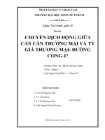 CHUYỂN DỊCH ĐỘNG GIỮA CÁN CÂN THƯƠNG MẠI VÀ TỶ GIÁ THƯƠNG MẠI ĐƯỜNG CONG J