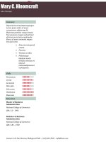 Mẫu CV xin việc bằng Doc - 137-Sales-Report