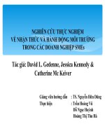 NGHIÊN CỨU THỰC NGHIỆM VỀ NHẬN THỨC VÀ HÀNH ĐỘNG MÔI TRƯỜNG TẠI CÁC DOANH NGHIỆP VỪA & NHỎ (SMEs)