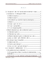 TIỂU LUẬN MÔN MÔN TÀI CHÍNH DOANH NGHIỆP CHÍNH SÁCH CỔ TỨC TẠI CÁC CÔNG TY M&A