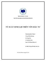 TIỂU LUẬN MÔN PHÂN TÍCH TÀI CHÍNH PHÂN TÍCH DÒNG TIỀN & ỨNG DỤNG PHÂN TÍCH DÒNG TIỀN CÔNG TY VINAMILK GIAI ĐOẠN 2009-2013